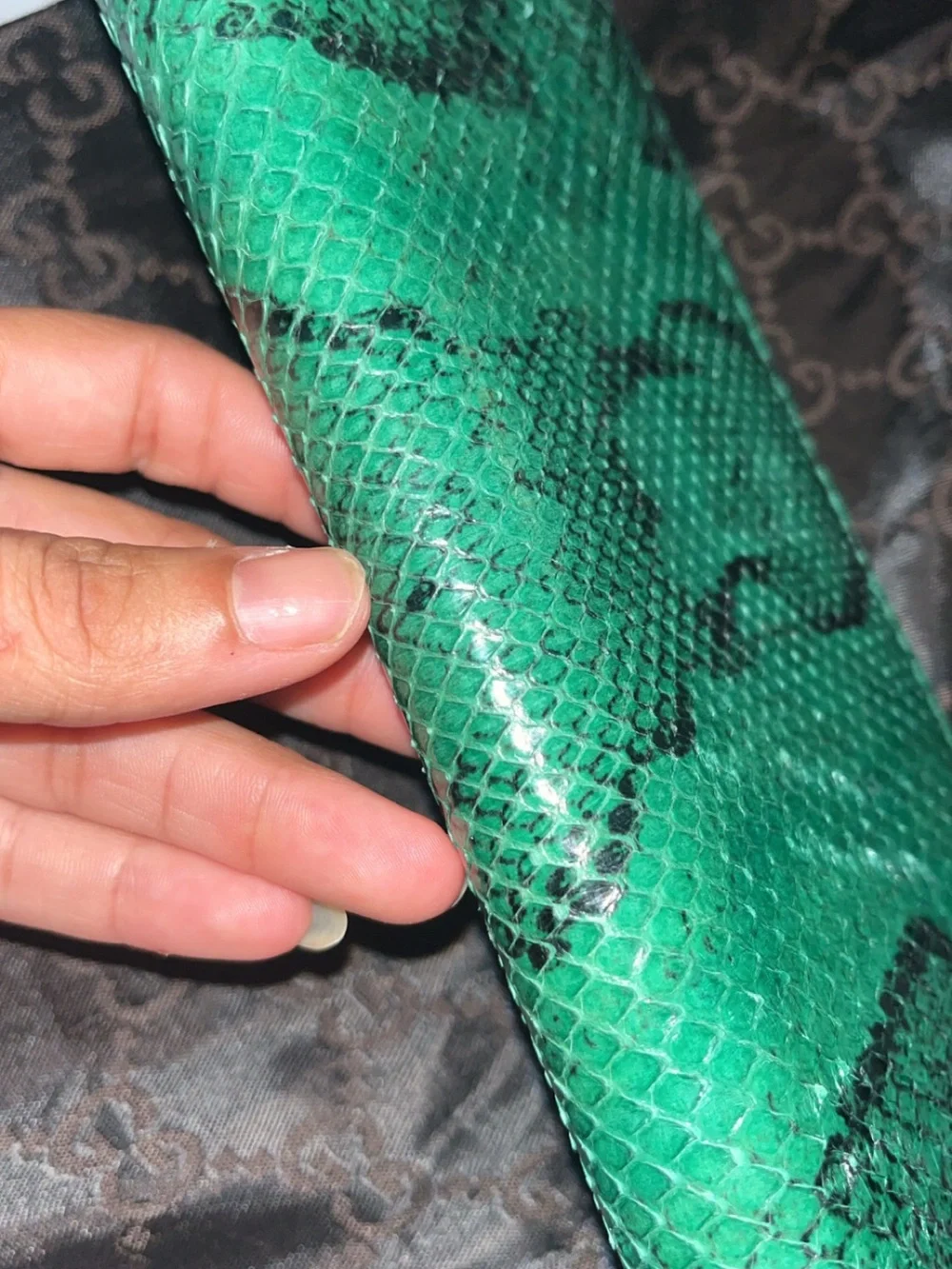 Gucci Emerald Green Python Zip Wallet with Gold Double G - Picture 2 of 16